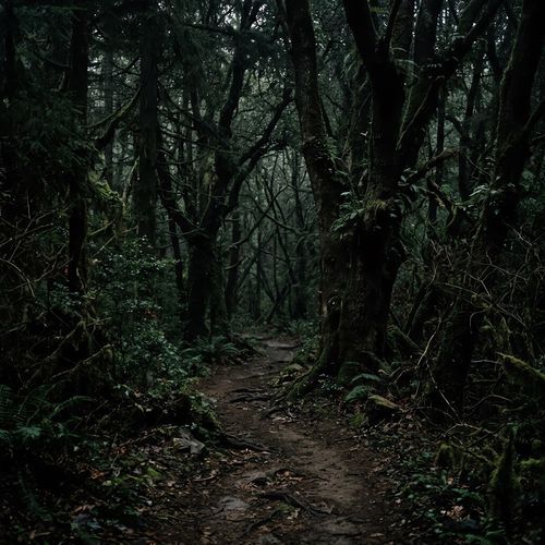 Dark Love