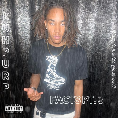 FACTS PT. 3 cover art