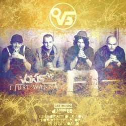 Voxis profile photo