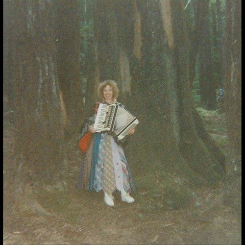 I Won't Promise You cover art