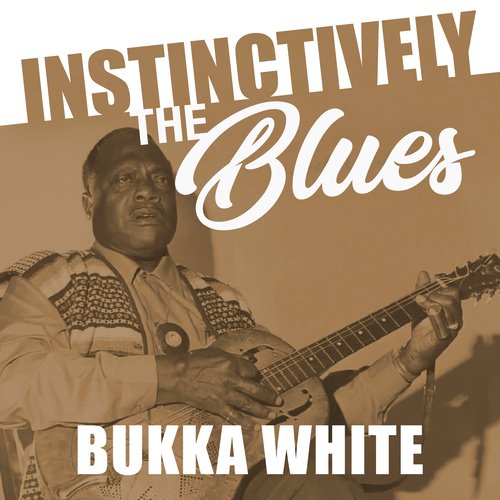 Instinctively the Blues - Bukka White