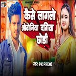 Kaise Lagalo Odhoniya Dagiya Chhodi