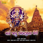 Mare Javu Ambaji Na Mede