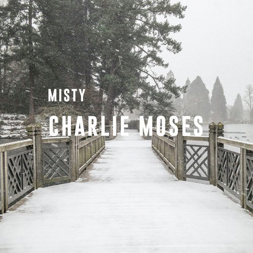 Misty (We Are Parasols Remix) cover art