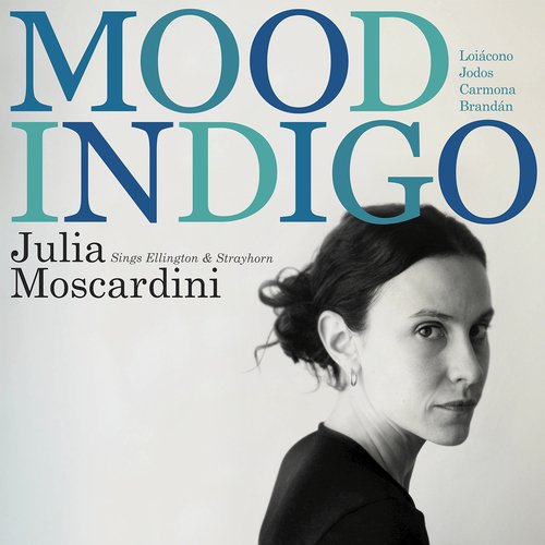 Mood Indigo_poster_image