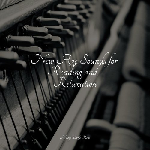 New Age Sounds for Reading and Relaxation