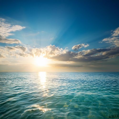 Orchestra Of Pure Relaxation: Serene Melodies For Unwinding