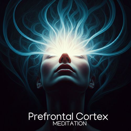 Prefrontal Cortex Meditation: Cognitive Healing with Deep Focus Frequencies_poster_image