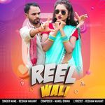 REEL WALI