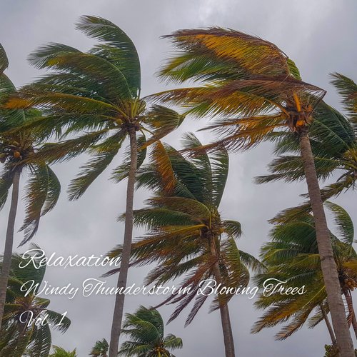 Relaxation: Windy Thunderstorm Blowing Trees Vol. 1_poster_image