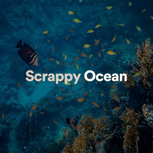 Scrappy Ocean_poster_image