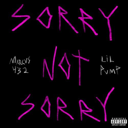 Sorry Not Sorry