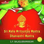 Sri Maha Mritunjay Mantra Dhanvantri Mantra Divine Chants