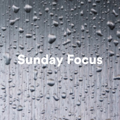 Sunday Focus