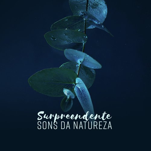 Sono Profundo cover art
