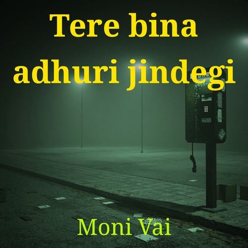Tere bina adhuri jindegi