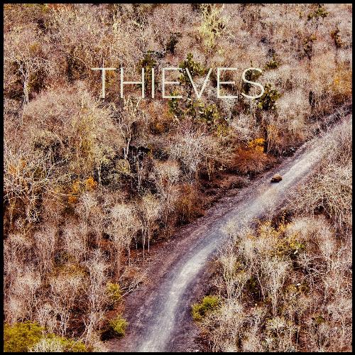 Thieves