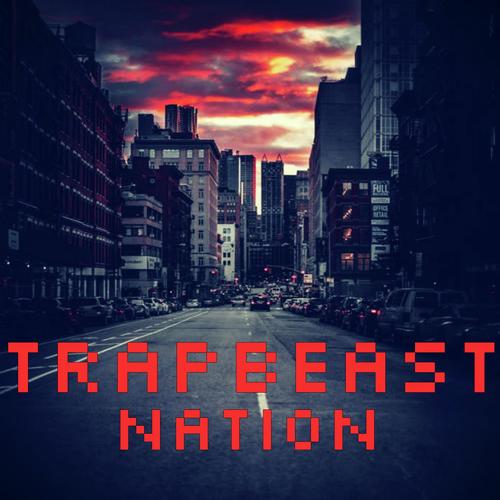 Flute Trap cover art
