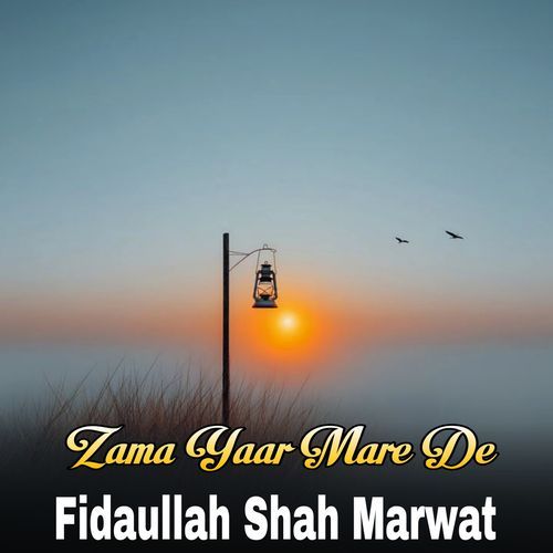 Zama Yaar Mare De