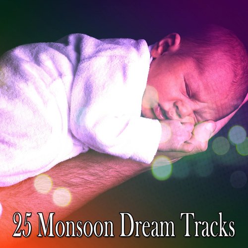25 Monsoon Dream Tracks