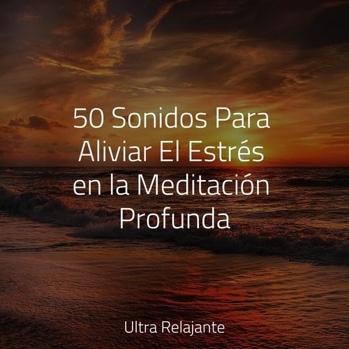 Seda Sobre El Agua cover art