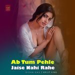 Ab Tum Pehle Jaise Nahi Rahe