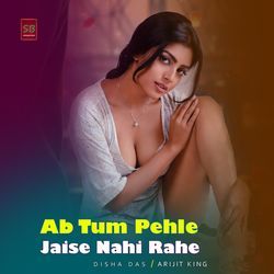 Ab Tum Pehle Jaise Nahi Rahe