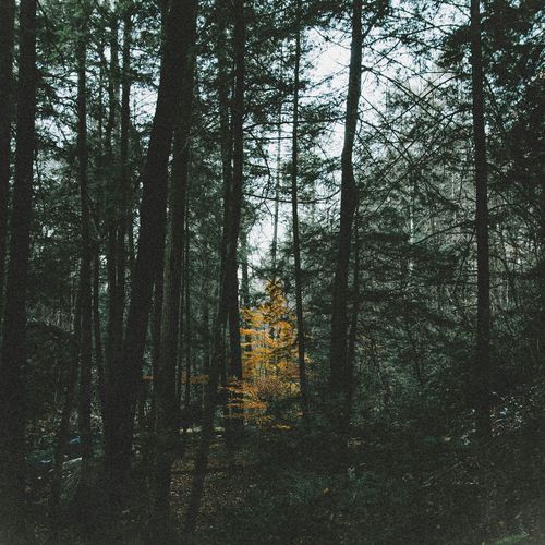 Interlude No. 3 (Solo Version) cover art