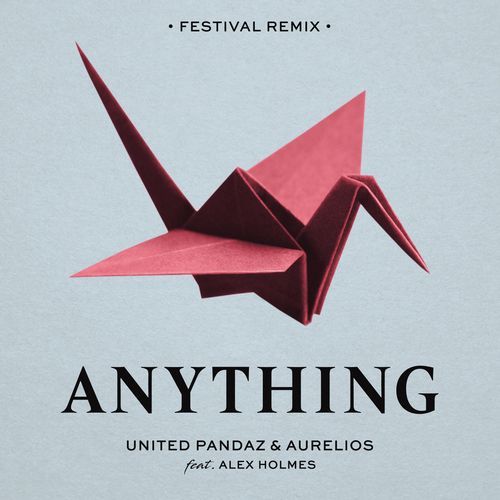 Anything (Festival Remix)