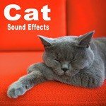Cat Sound Effects