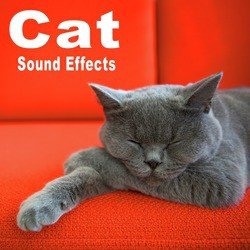 Cat Sound Effects