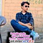 Chori Mohabbat Sab Farji Cha