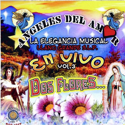 Susy cover art