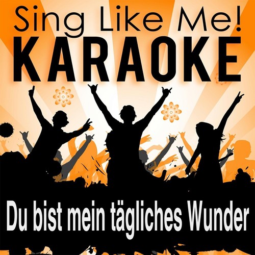 Du bist mein tägliches Wunder (Karaoke Version)
