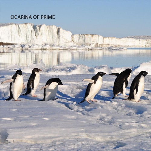 Truncated Elephants cover art