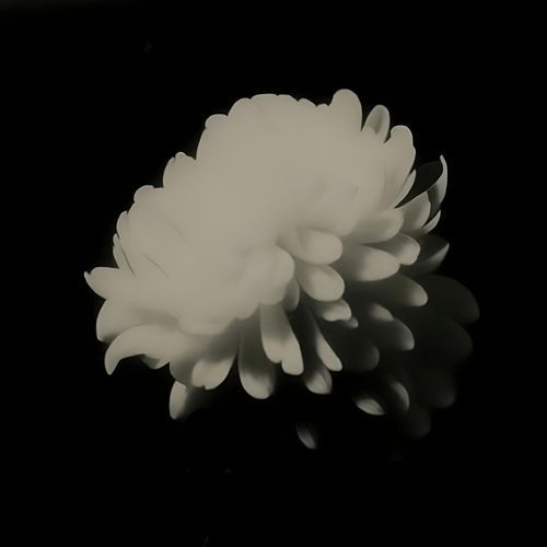 Flowers and Spikes