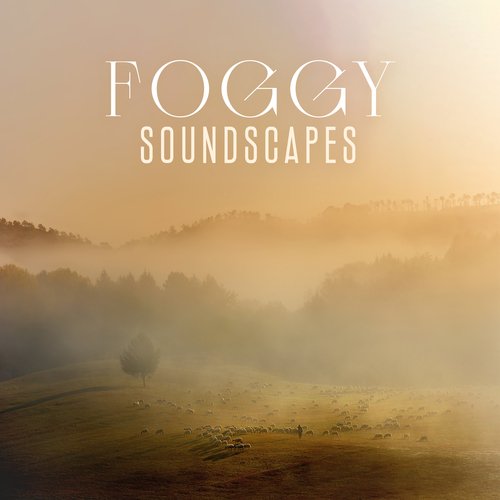 Foggy Soundscapes: Celtic Harp for Deep Relaxation, Calmness, Sleeping, Meditation_poster_image