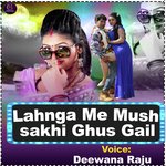Lahnga Me Mush Sakhi Ghus Gail