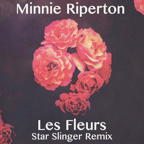 Les Fleurs (Star Slinger Remix)_poster_image