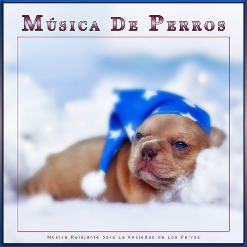 Música para Perros cover art