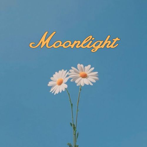 Moonlight