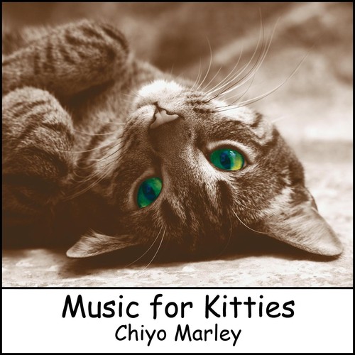Music for Kitties