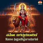 Namo Jagadhgurudarini