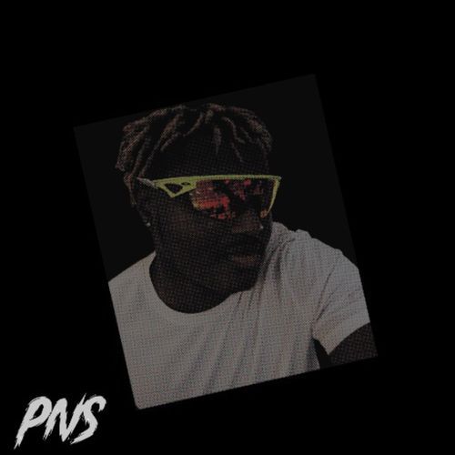 PNS cover art