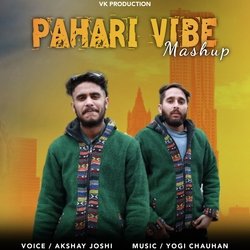 Pahari Vibe Mashup-QDAKchB2UFY