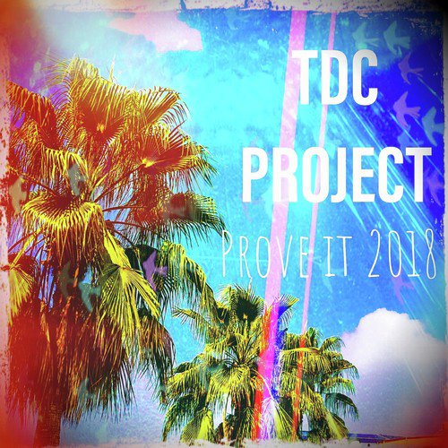 Tdc Project