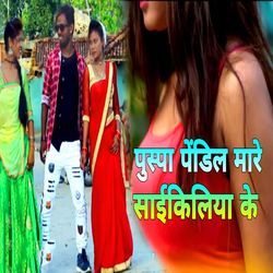 Pushpa Pendil Mare Saikeleya Ke