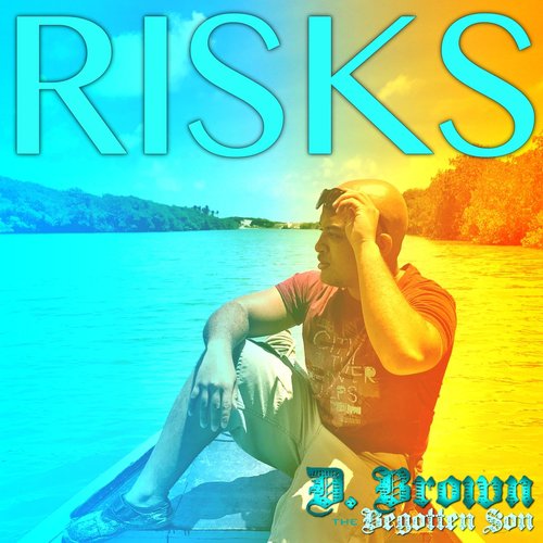Risks