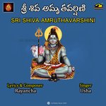 SRI SHIVA AMRUTHAVARSHINI