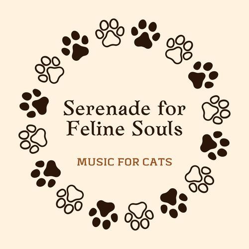 Music for Cats Peaceful Streams cover art
